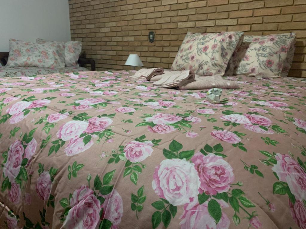 Casa do Husky