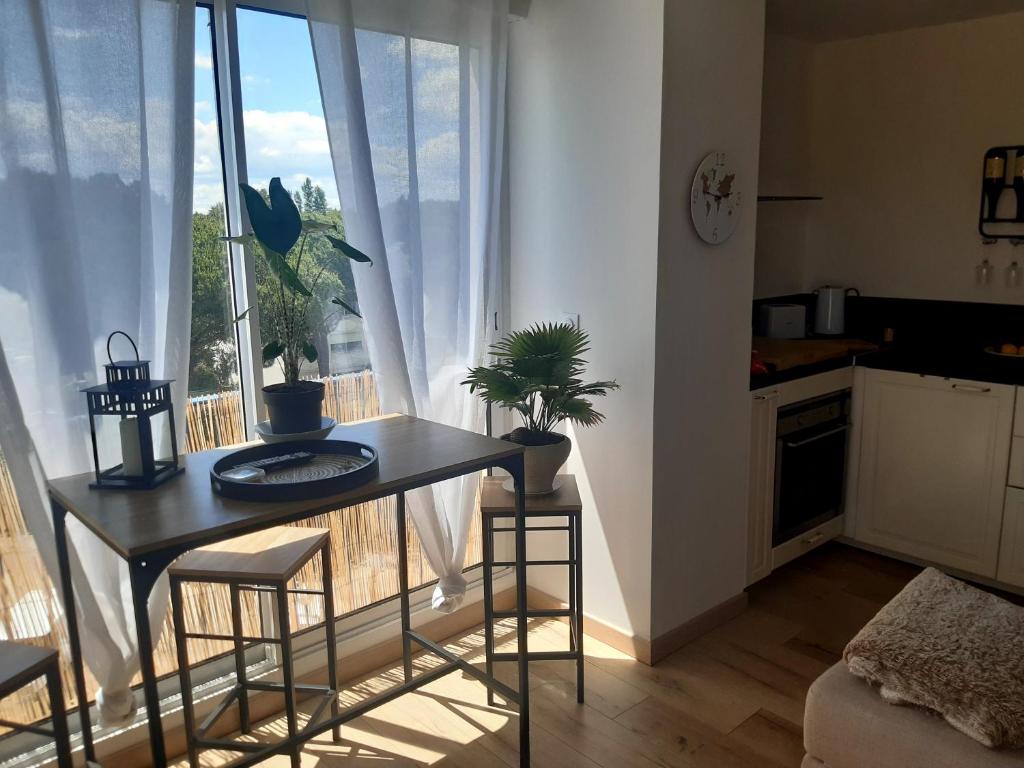 Kuchyň nebo kuchyňský kout v ubytování confortable appartement T2
