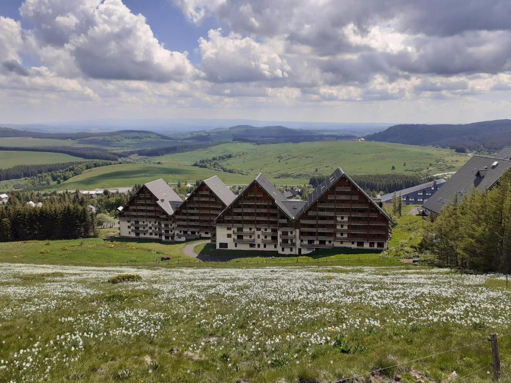 a large building on a hill with a field of flowers at Appartement dans residence de tourisme in Besse-et-Saint-Anastaise