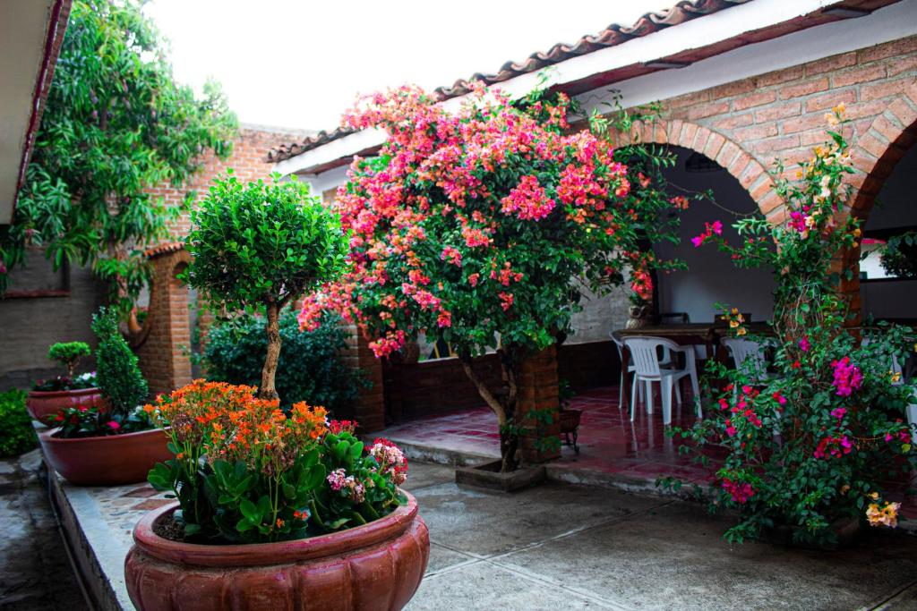 um jardim com flores e plantas em vasos grandes em Villa Flores, casa en el centro de Mascota em Mascota