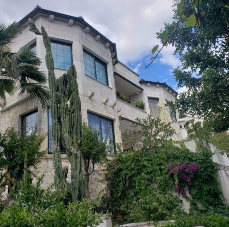 Ảnh trong thư viện ảnh của Apartments Villa Domus Marini ở Hvar