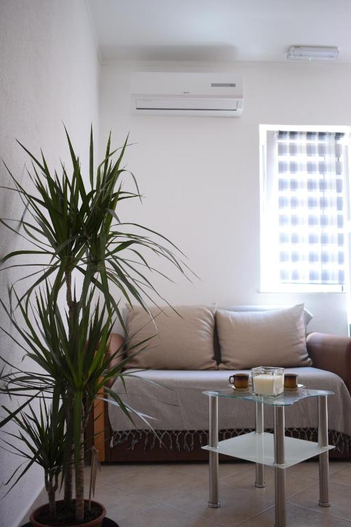 Apartment Nikola