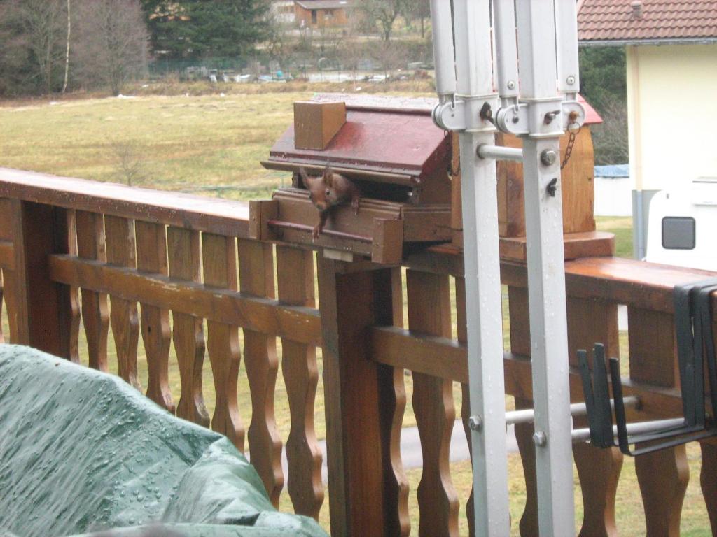Balkón nebo terasa v ubytování Chalet Gérardmer situé a LE THOLY