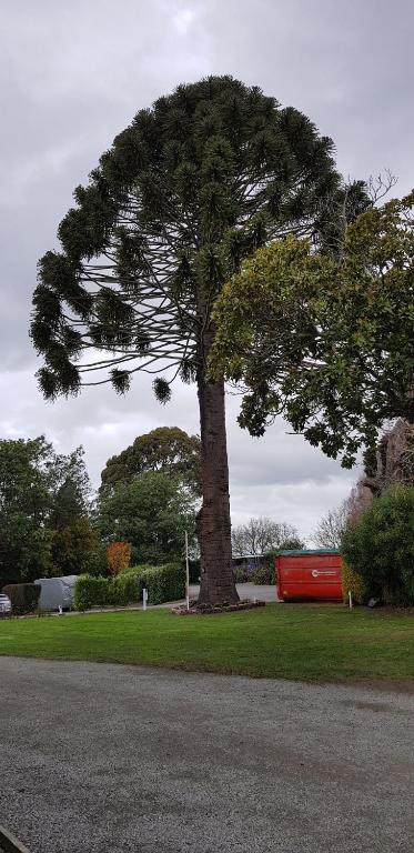 Spring Creek Holiday Park - Resim 33