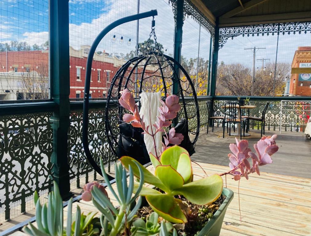 a potted plant on a balcony with a bird cage at Treehouse Hideouts Balcony Apartment - Port of Echuca Townhouse in Echuca