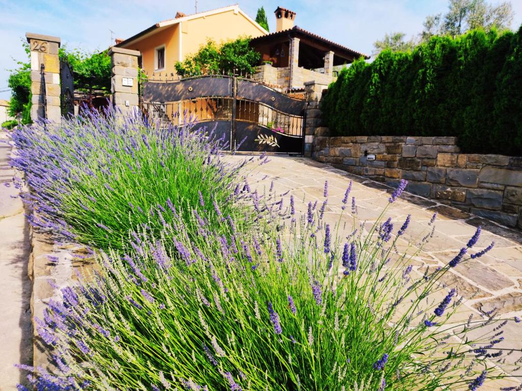 een tuin met paarse bloemen voor een huis bij Apartment Wine & Olive oil Mofardin in Koper