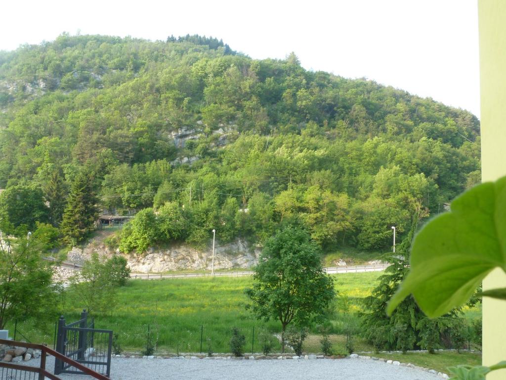 Príroda v okolí apartmánu