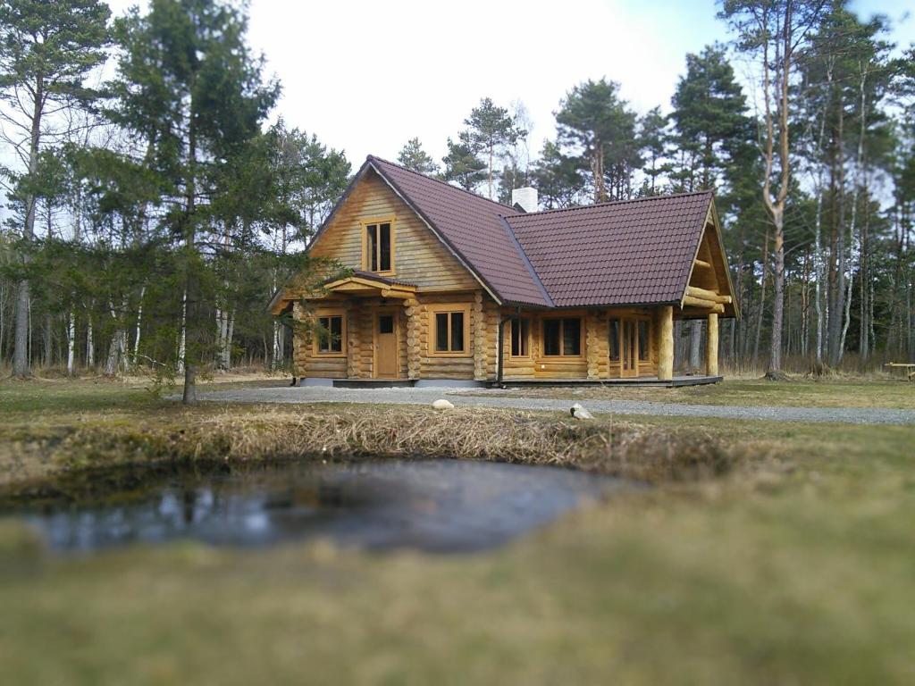 a wooden house with a brown roof and a pond at Rannamaa Holiday Home in Mändjala