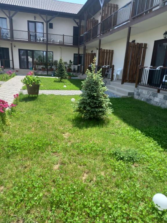 Zahrada ubytování CASA SMARALD