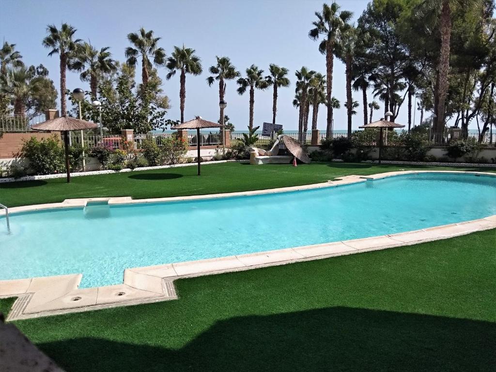 - une grande piscine entourée d'herbes et de palmiers dans l'établissement ACV - Acapulco IV - 1 linea planta 2 sur 2, à Oropesa del Mar