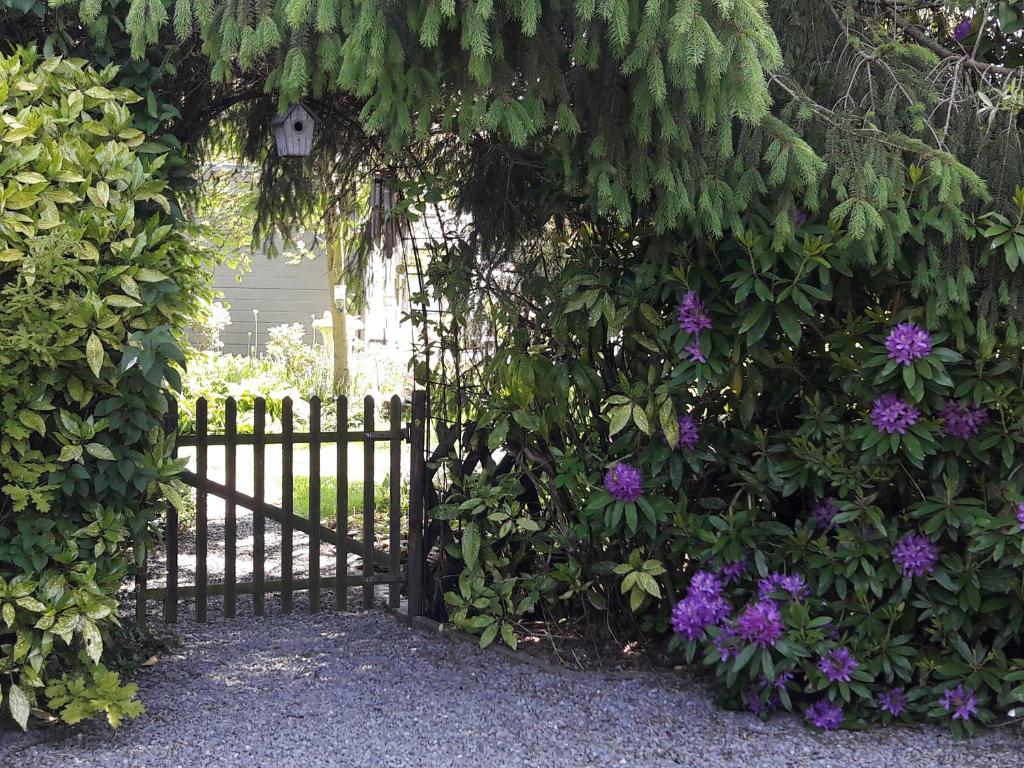 una puerta a un jardín con flores púrpuras en B&B 't Gezellig Huizeke en Zoersel
