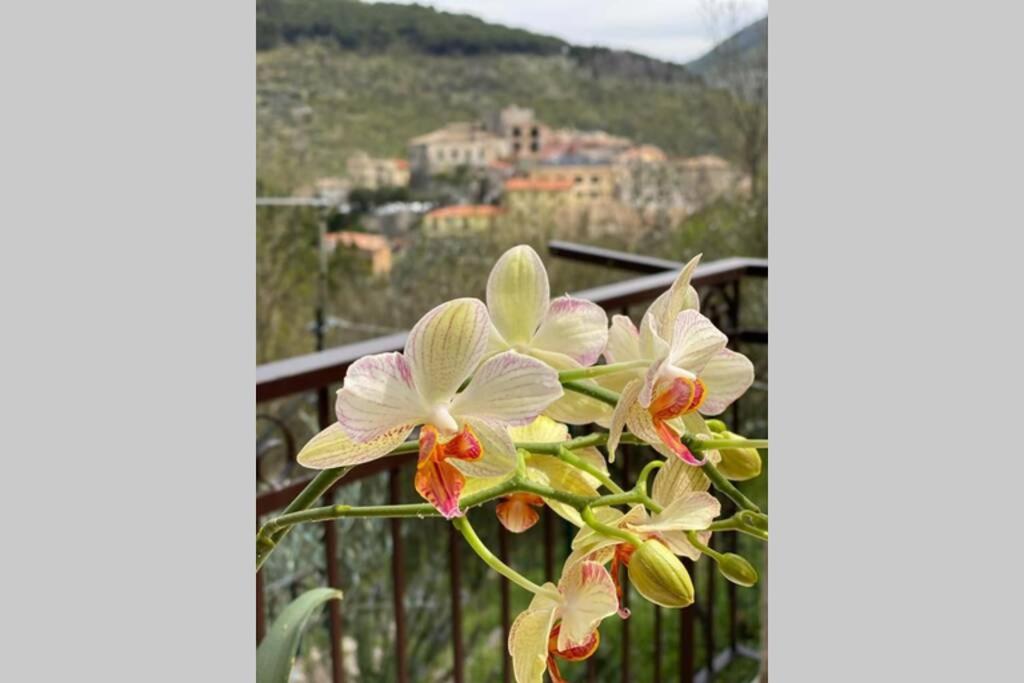 un ramo de flores sentado en un balcón con vistas en Alloggio a via Impero en Lenola