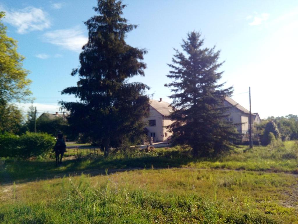 Príroda v okolí penziónu