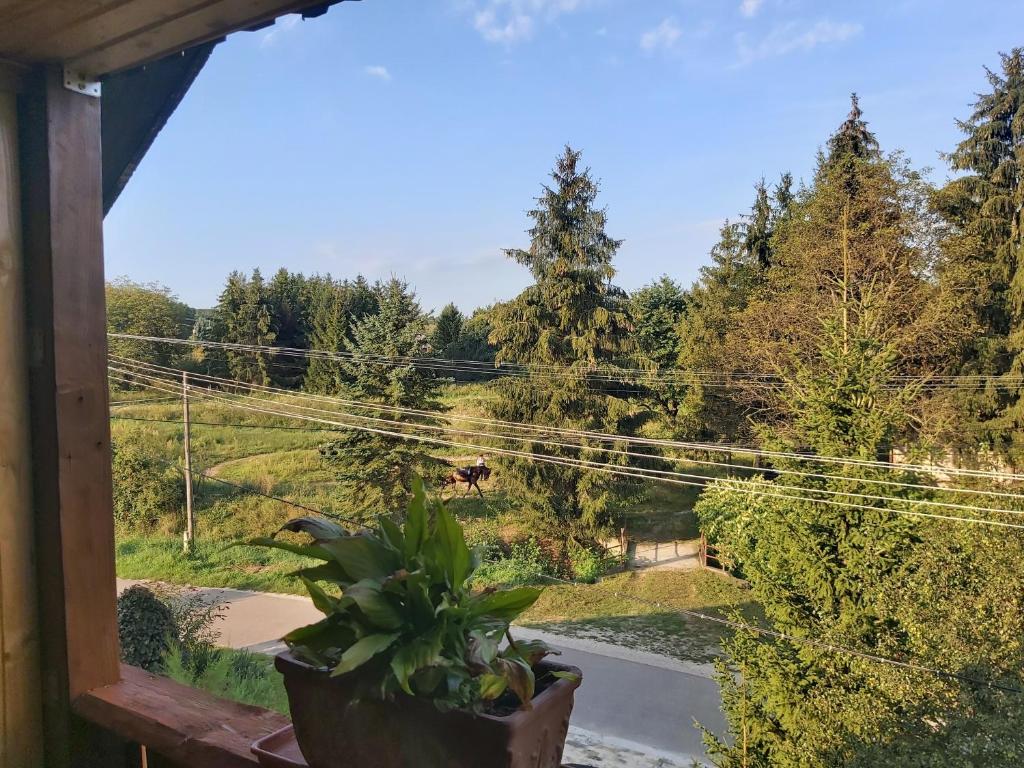 Príroda v okolí penziónu