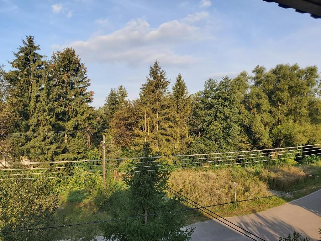 Príroda v okolí penziónu