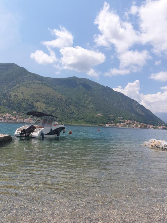 Daire yakınında doğal manzara