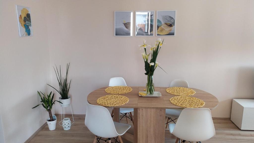 Diva apartman - Apartamento De Um Quarto
