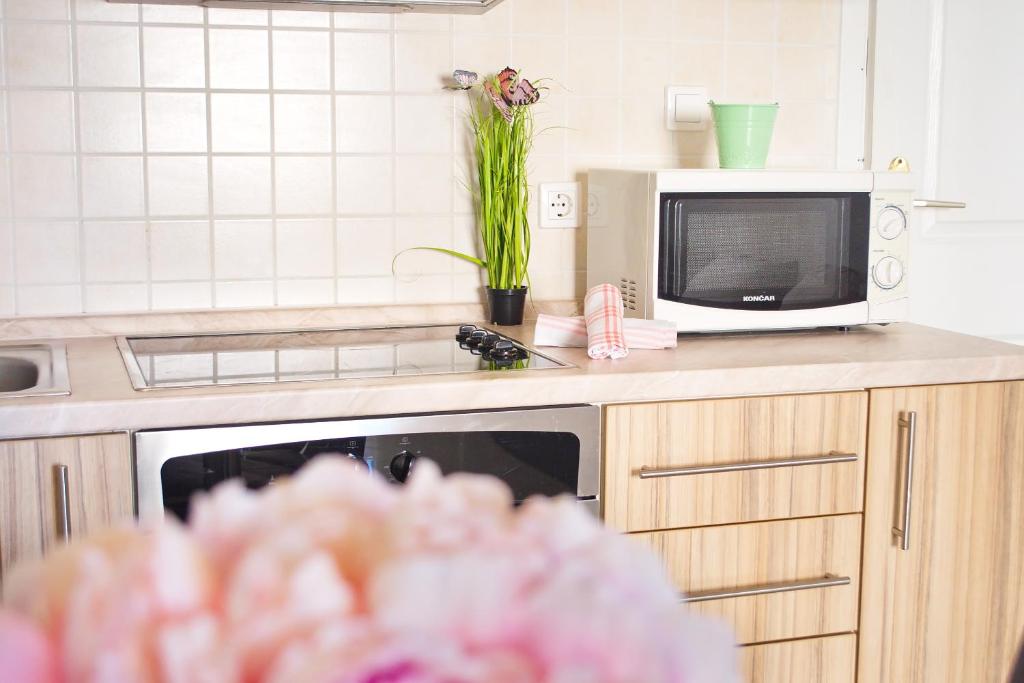 Fotografie z fotogalerie ubytování Apartment Summer Love Tena v Novalji