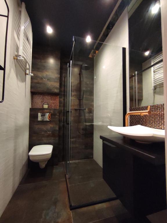 uma casa de banho com um chuveiro, um WC e um lavatório. em Apartament Loftowy Wypoczynek GoldAir em Poznań