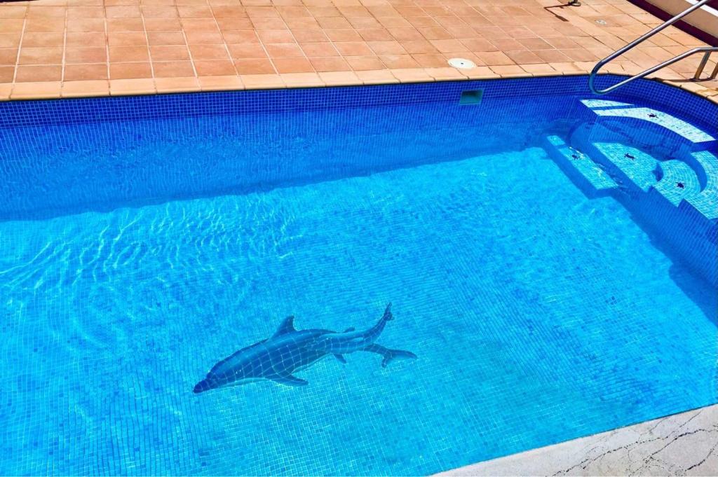 Bazén v ubytování Villa 64, Vista Lobos, private heated pool x jacuzzi, Playa Blanca nebo v jeho okolí