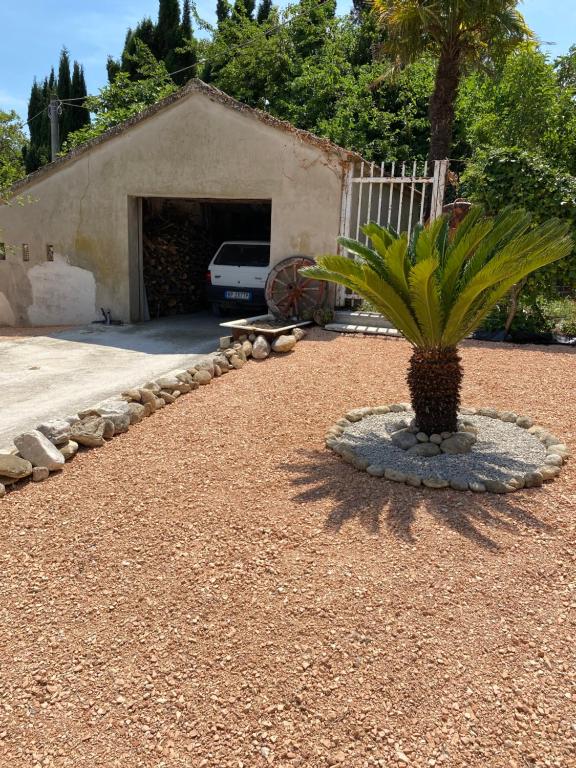 Ogród w obiekcie Casa vacanze Podere Bellavista