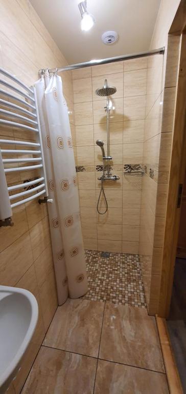 ein Bad mit einer Dusche und einem Waschbecken in der Unterkunft Zielona Granica in Piwniczna-Zdrój