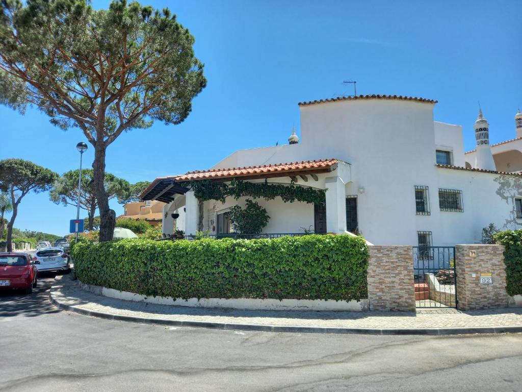 a white house with a hedge in front of it at Eucalipto in Faro