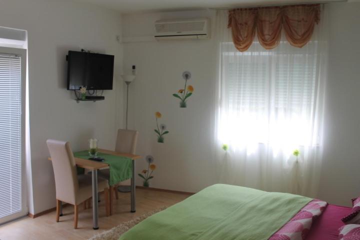 Apartments Roko Kolinda - 一居室公寓