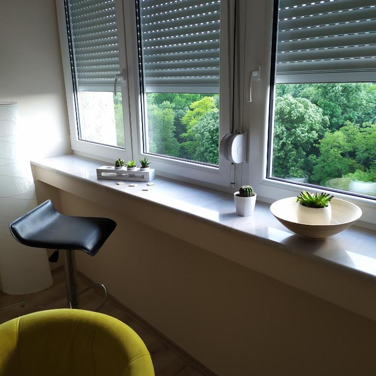 Fotografie z fotogalerie ubytování Diva apartman v destinaci Aranđelovac