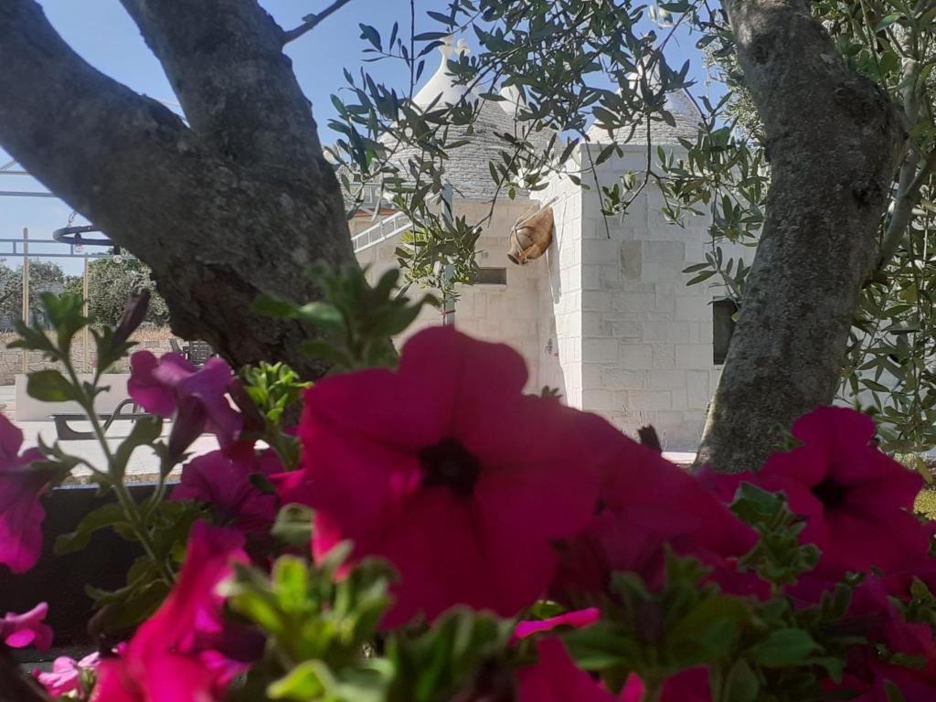 A garden outside CasaVacanza nonna Vita