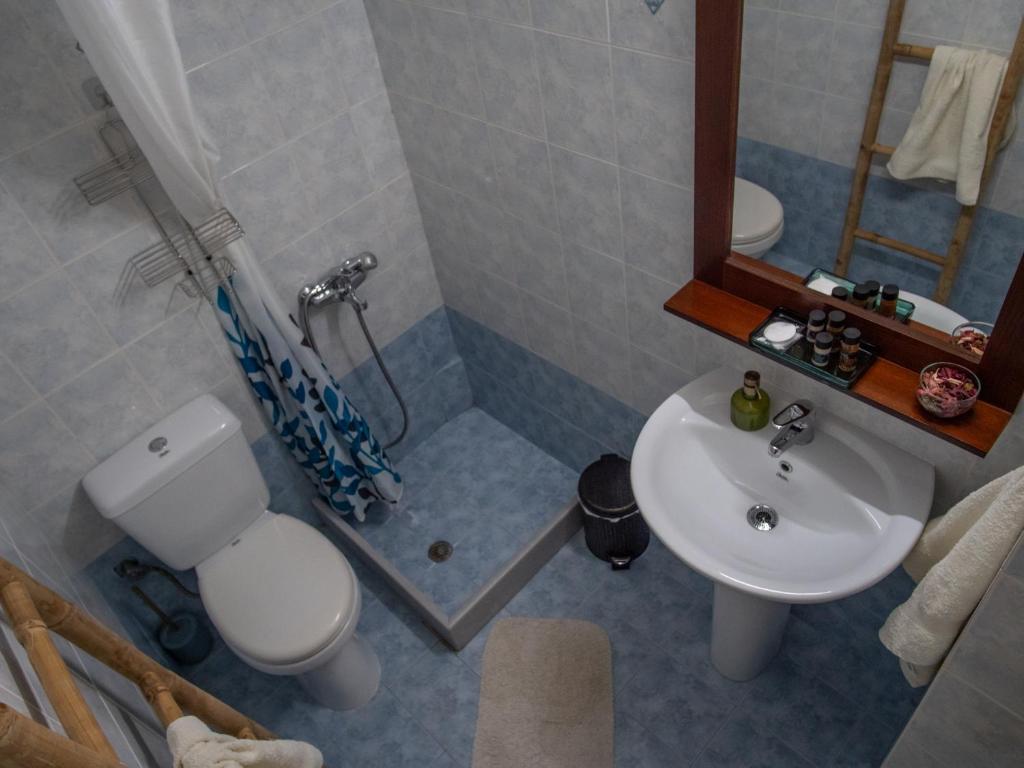 Lycurgus - The Spartan Home - 9