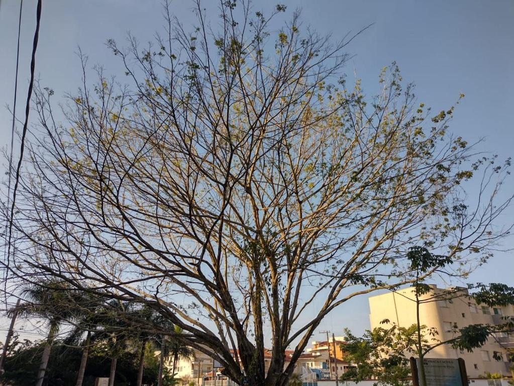  Apto Tranquilo Muito Ventilado