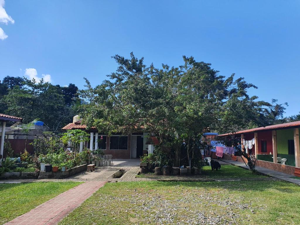 uma casa com uma árvore no quintal em Recanto do Paraiso em Peruíbe