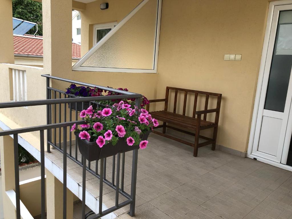 Balkón nebo terasa v ubytování Villa Rihter