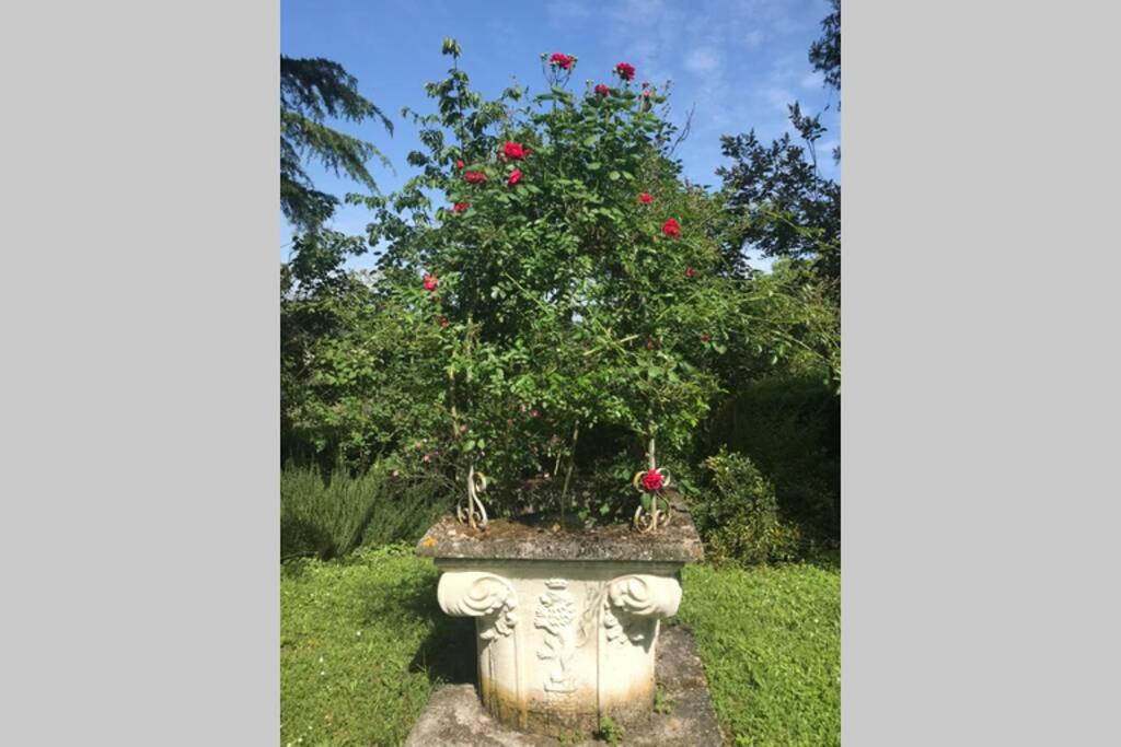 Vonkajšia záhrada v ubytovaní CASA LA TORRE un castello alle porte di Firenze