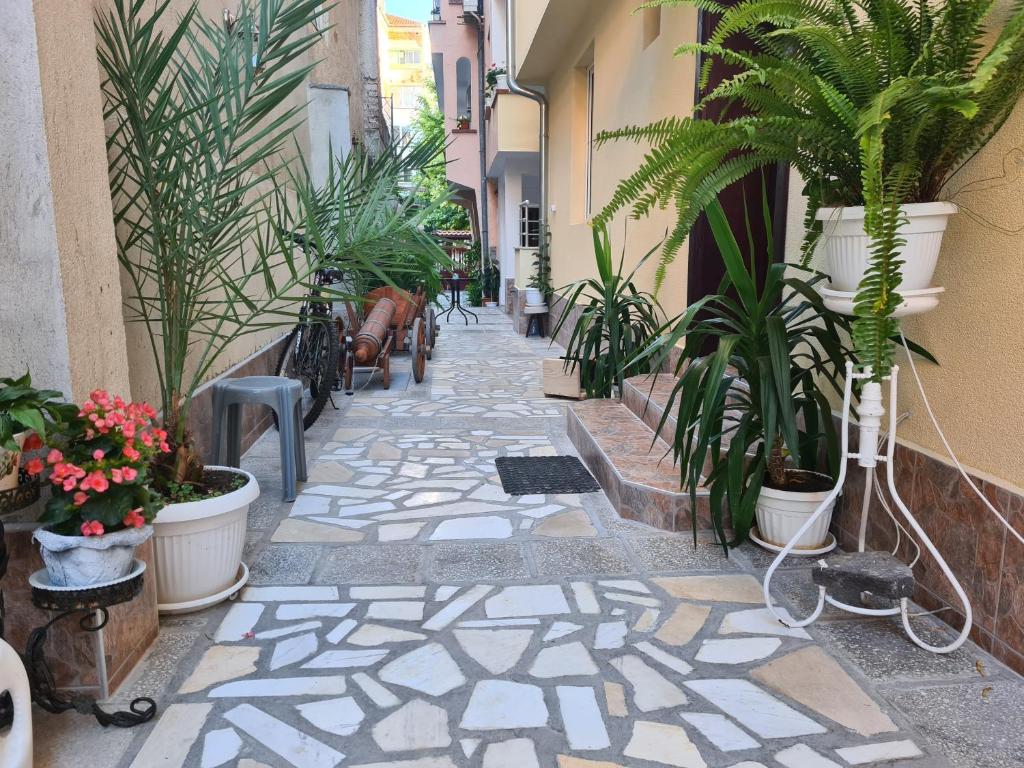 a walkway with potted plants and plants at Guest Rooms Kostovi in Nesebar