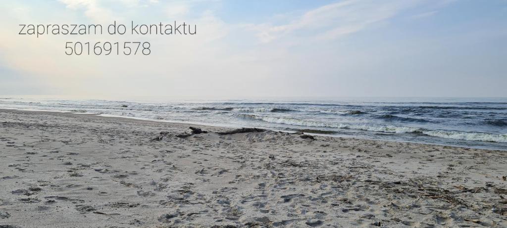 Apartamenty Sztutowo - Housity