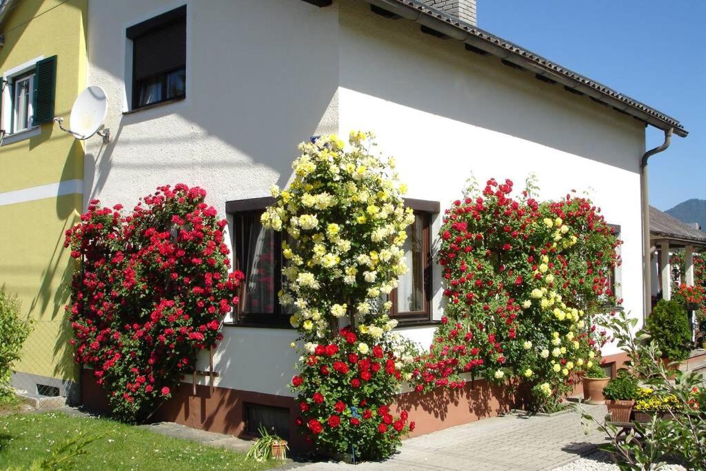 un gruppo di fiori sul lato di una casa di Villa Lindwurm a Klagenfurt