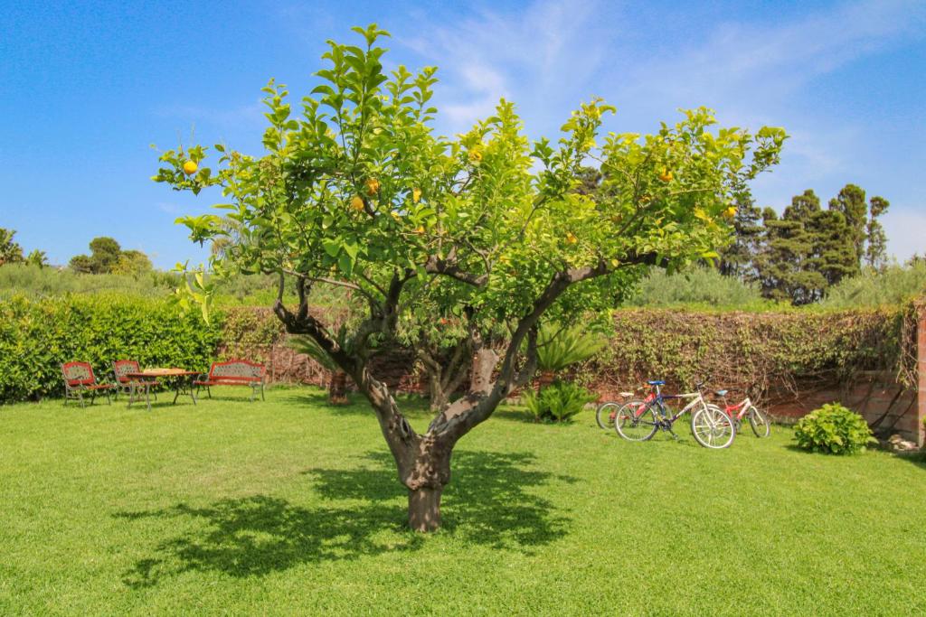 Zahrada ubytování La Casa di Lina - Capo d'Orlando, casa con ampio giardino