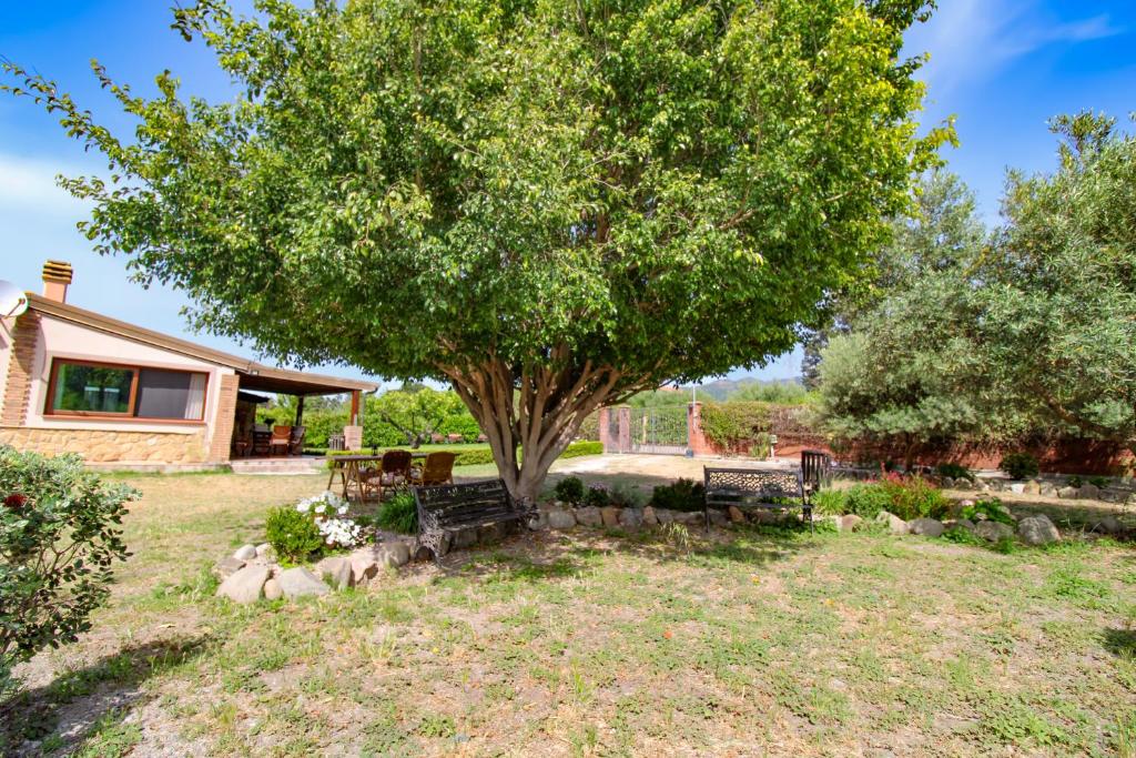 Zahrada ubytování La Casa di Lina - Capo d'Orlando, casa con ampio giardino