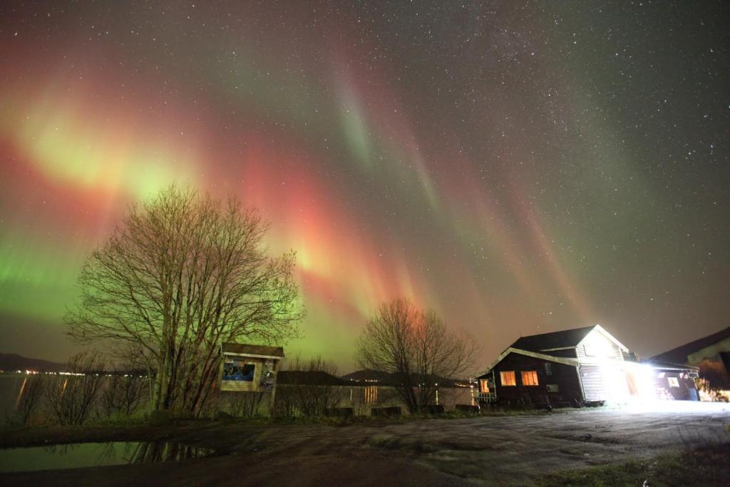 Fotografie z fotogalerie ubytování Bogen Hostel v destinaci Bogen