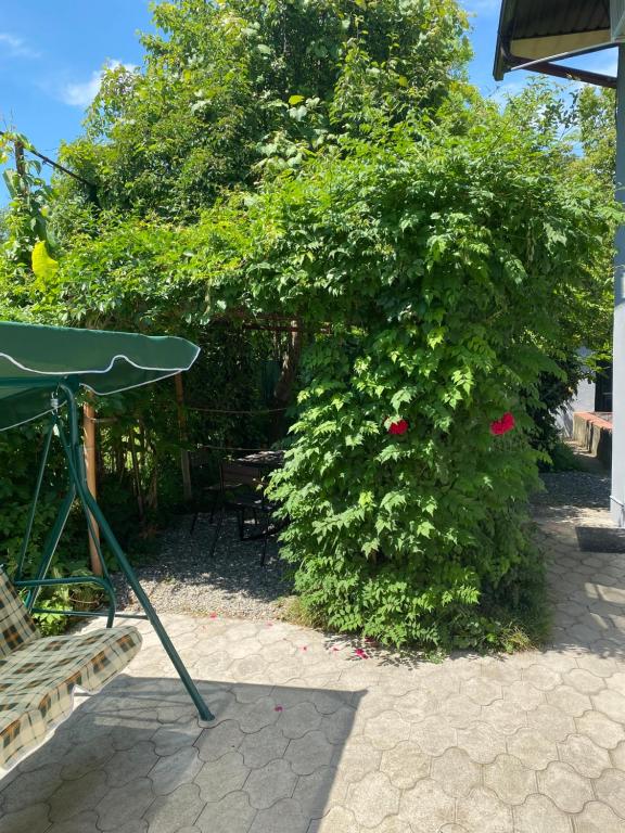 Zahrada ubytování Гостевой дом «Green garden»