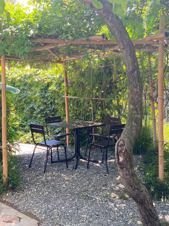 Zahrada ubytování Гостевой дом «Green garden»