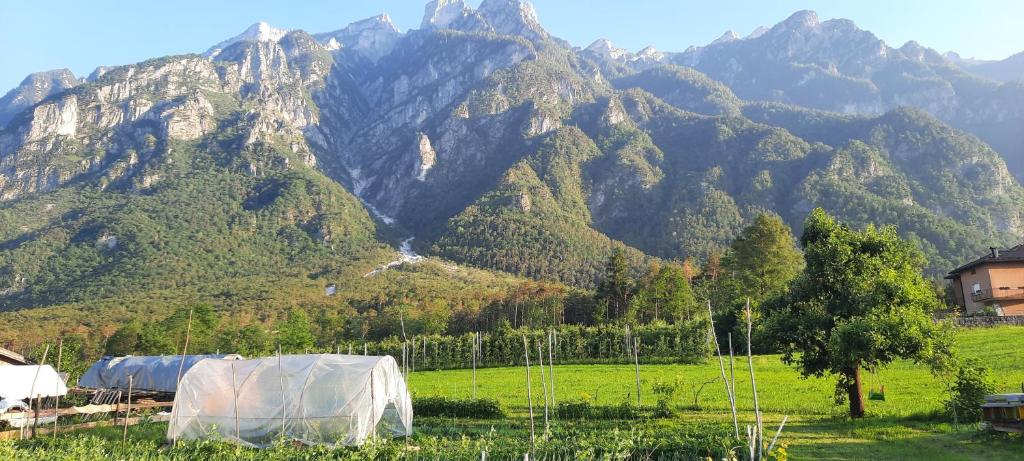 a tent in a field in front of a mountain at B&B La casa in Campagna in Ospedaletto