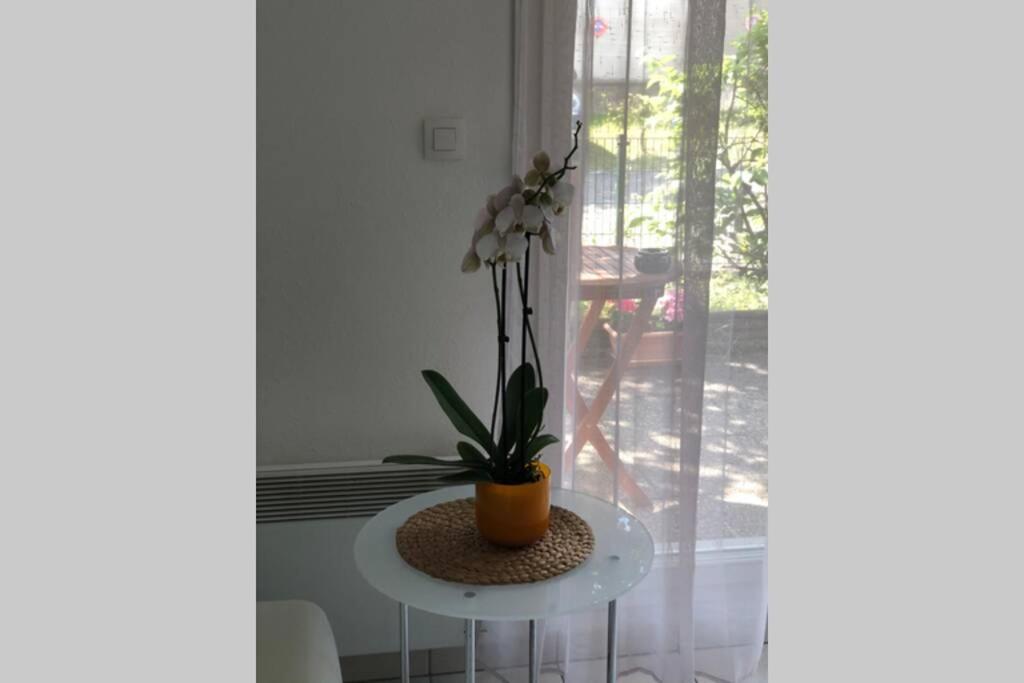 Spacious Flat Garden&Parking 5min Basel Tram Bus Airport – photo 37