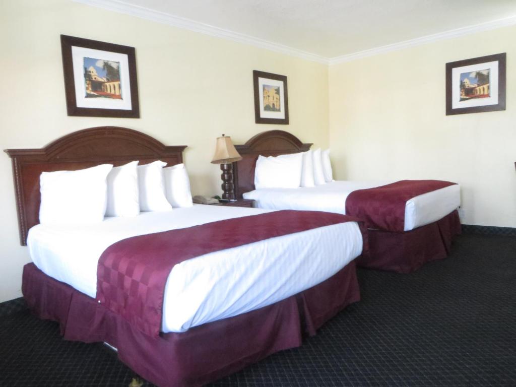 Best Inn & Suites photo
