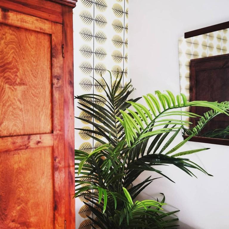 Villa Vintage B&B - Habitación Doble Estándar Con Baño Compartido