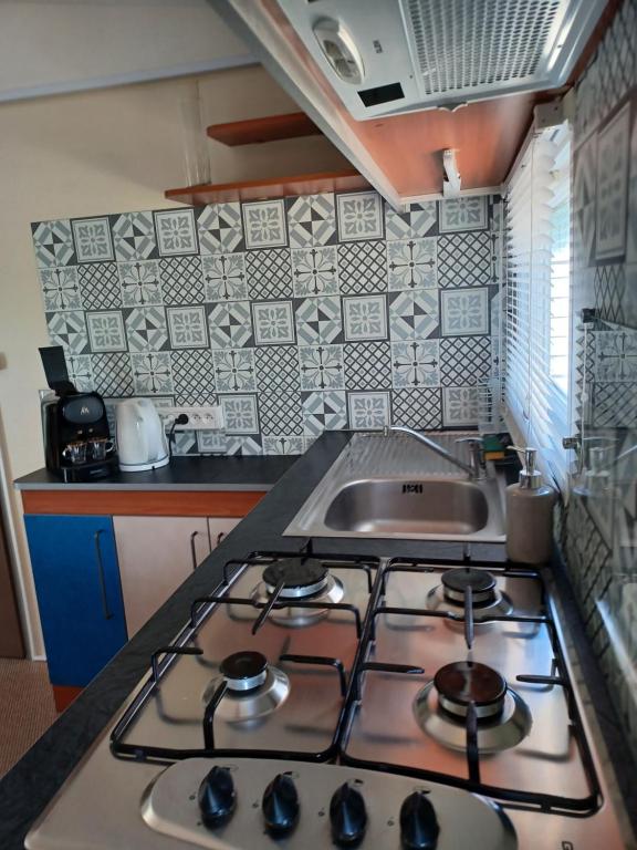 Kuchyň nebo kuchyňský kout v ubytování Flo's Mobil-Home