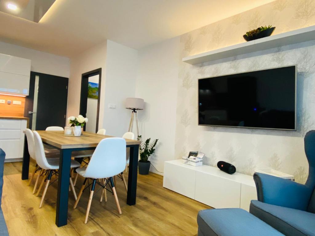 TV a/nebo společenská místnost v ubytování Apartmány DOME