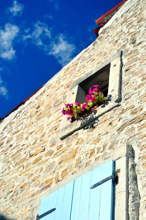 a window on a brick building with flowers on it at Ruine-Motovun KH in Motovun